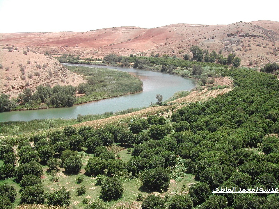 صورة ذات صلة