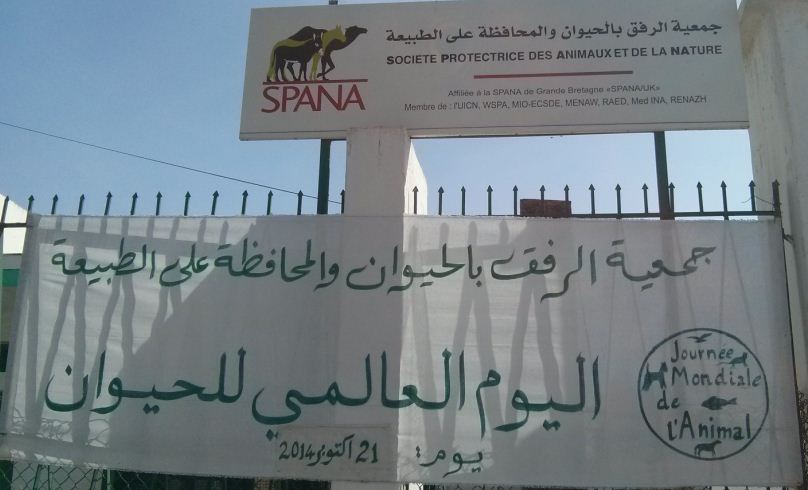 جمعية SPANA بأولاد افرج تحتفل باليوم العالمي للحيوان