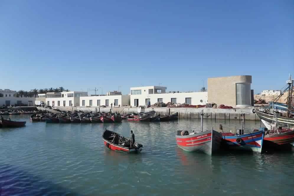 مهنيو قوارب صيد الأسماك السطحية وتجار السمك يدقون  ناقوس الخطر ويطالبون بتدخل ملكي