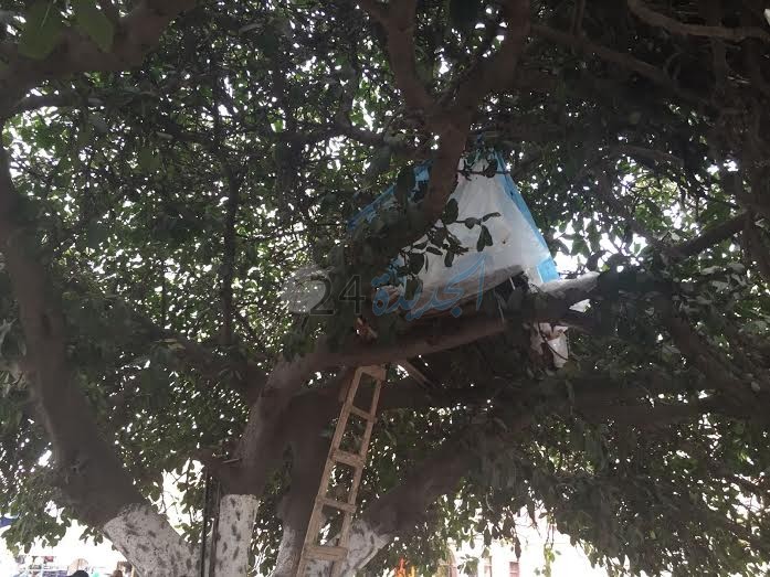 بالصور.. السلطات تهدم 'براكة' فوق شجرة ببوشريط كان يتخذها أحد المتشردين سكنا ومبيتا 