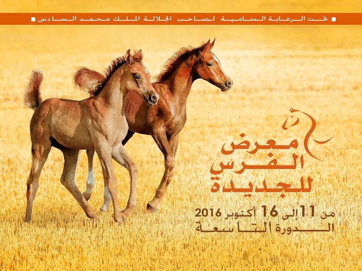 دولة الإمارات ضيف شرف الدورة التاسعة لمعرض الفرس للجديدة من 11 الى 16 أكتوبر 2016