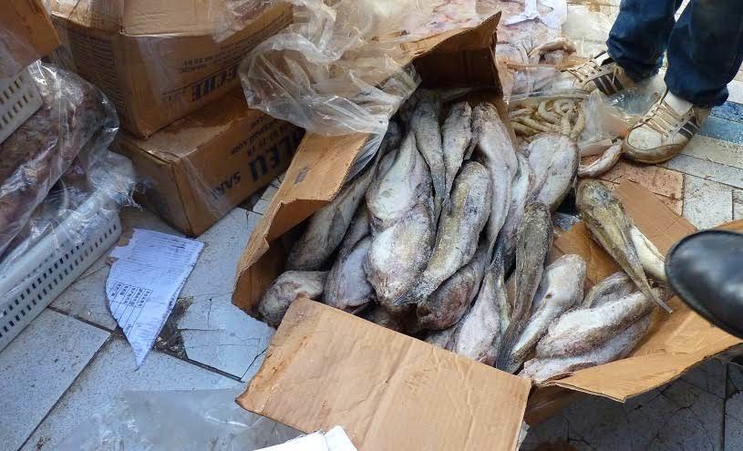 حجز أزيد من 400 كيلوغرام من الأسماك الفاسدة بإحدى المخازن بإقليم سيدي بنور