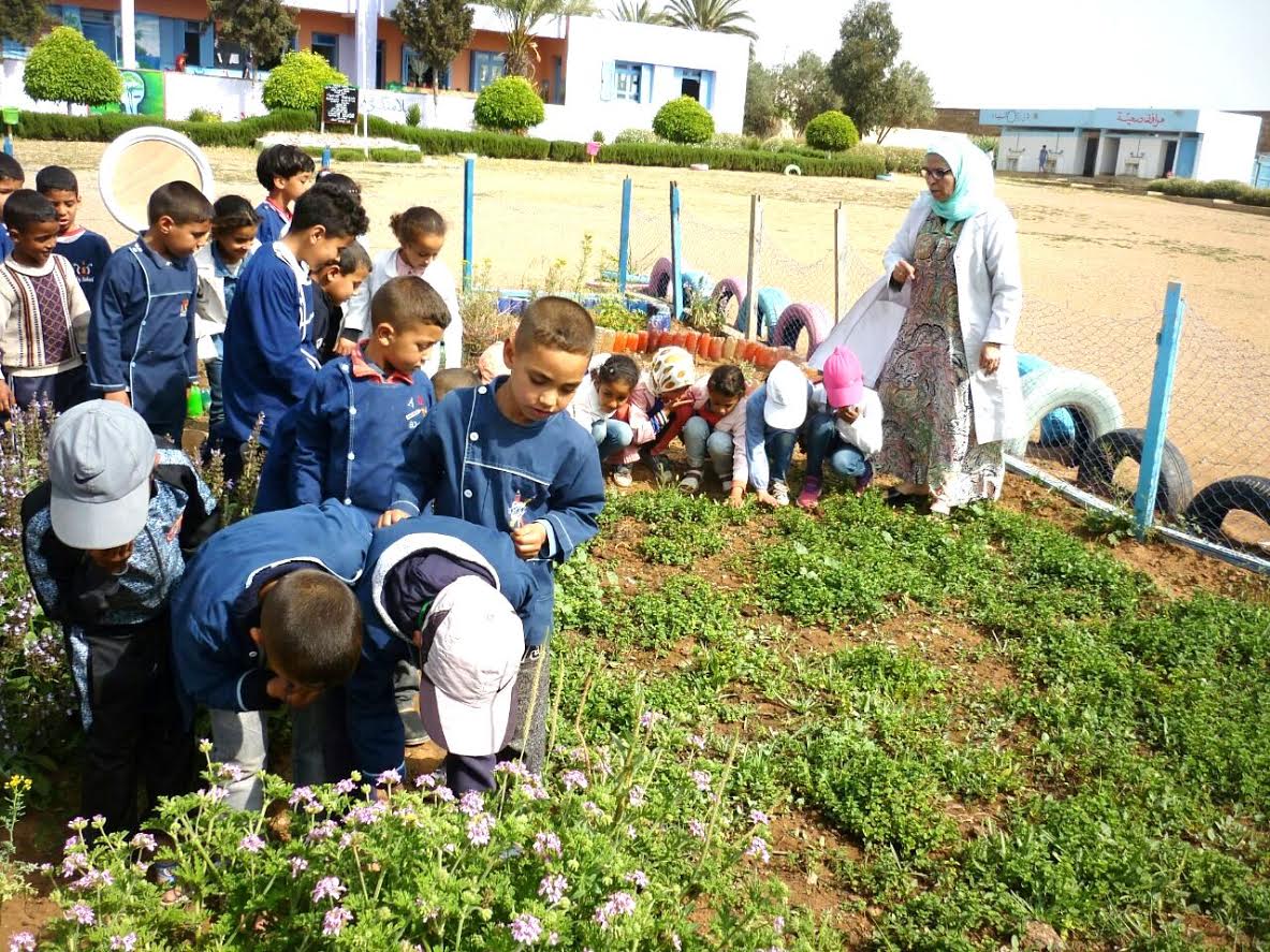 فضاء المؤسسات التعليمية بسيدي بنور يكتسي حلة جديدة