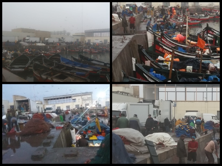 استياء أرباب قوارب الصيد التقليدي من فوضى قوارب ''الشكاضة'' بميناء الجديدة