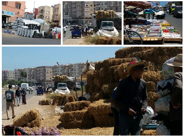 عيد الأضحى.. مناسبة دينية واقتصادية تحيي حرفا و مهنا موسمية تنعش شريحة كبيرة من المواطنين   