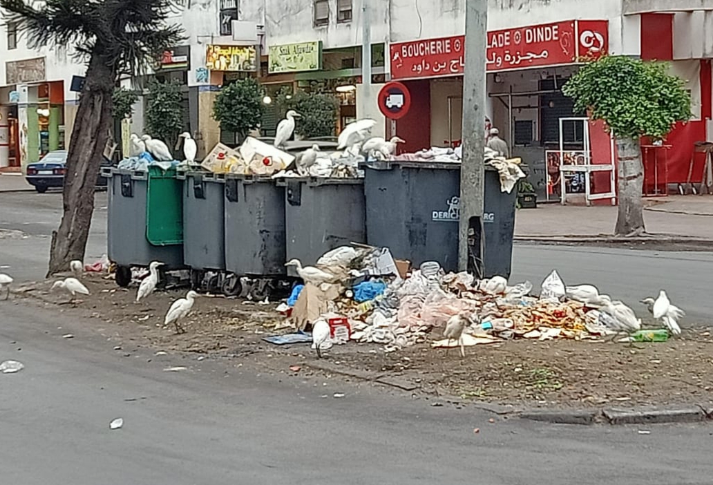 انتشار الازبال في الشوارع وروائح مطرح النفايات تؤرق ساكنة حي السلام والأحياء المجاورة بالجديدة 
