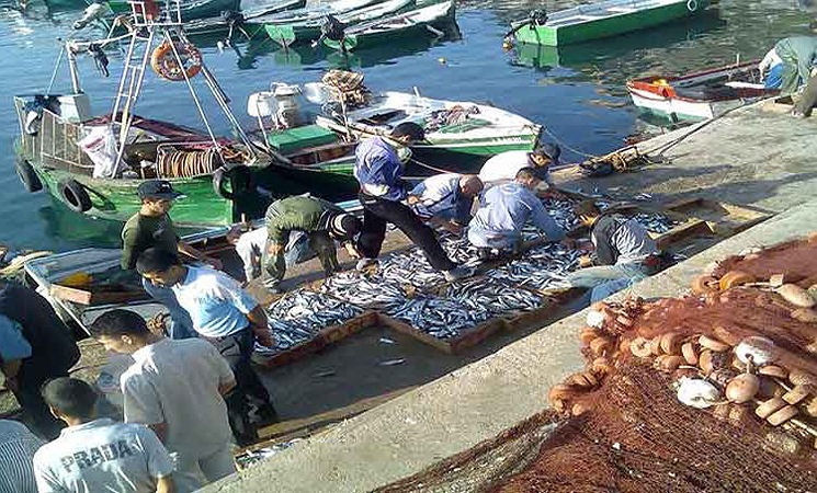 ممثلو الصيد البحري بالجديدة يجتمعون بالمدير الجهوي للوكالة الوطنية للموانئ  