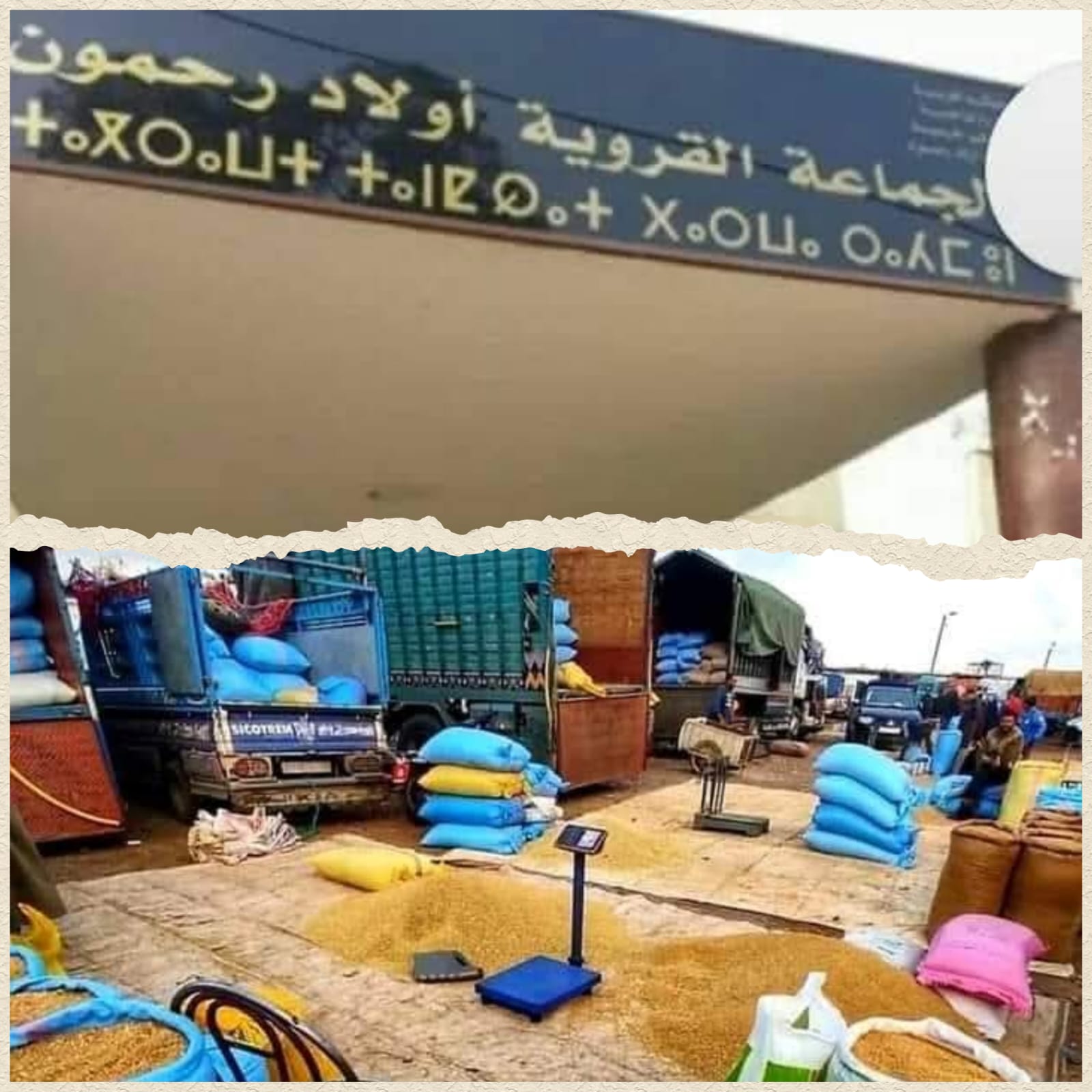 لجنة لمراقبة الغش في الأعلاف و الحبوب تحل بسوق جمعة أولاد رحمون بإقليم الجديدة 