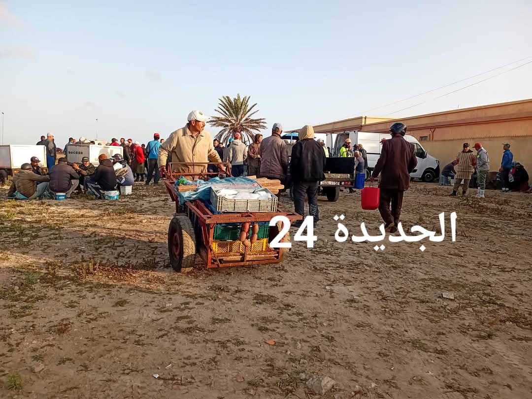المحاكمات الافتراضية ومخاطر تفكيك مركزية السلطة القضائية             انتخاب نور الدين شبي كاتبا لنقابة الصيد البحري التقليدي والطحالب البحرية بالجديدة  .مجموعة مدارس إحسان بالجديدة تنظم مهرجانا ثقافيا تحت شعار: ''تراث الأجداد بيد الأحفاد'الجديدة : انطلاق تهيئة السوق المؤقت لبيع السمك وسط إشادة المهنيين  - الجديدة 24