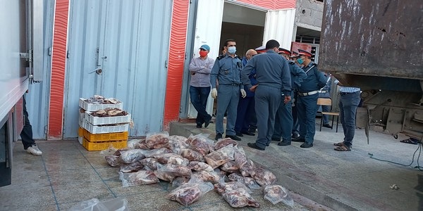 انتشار الذبيحة السرية إثر الإقبال المتزايد على اللحوم الحمراء بمناسبة عيد الأضحىجهوية درك الجديدة تحجز كميات من ''خيار البحر'' تم صيدها في خرق للقانون جمعية ''جون ماروكان'' تعقد جمع عام استتنائي وتجدد الثقة في أيوب كوزة رئيساً لها تلميذة من مؤسسة إحسان بالجديدة تفوز بالنسخة الأولى من مسابقة ''طوب سبيكر جينيور''انطلاق أشغال تثبيت علامات التشوير الضوئي بشوارع مدينة الجديدةشهرا نافذا للدركي الهارب من مقر محكمة الاستئناف بالجديد  استمرار إغلاق المسبح المغطى بالجديدة يُثير تساؤلات ومناشدة عامل الإقليم بالتدخلمقاول يصدر بيان حقيقة حول ''اتهامات باطلة'' وجهت له بخصوص تجزئته العقاريةجهوية الدرك بالجديدة تحبط عملية تهريب دولي ل3 طن من المخدراتالمجلس العلمي المحلي وجمعية الفضاء الأخضر يغرسان أشجار 'لاروكاريا' بمدخل مدينة الجديدة  - الجديدة 24