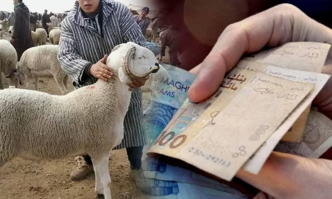 الجديدة.. 'فراقشي' يغري محققين دركيين برشوة بقيمة 30000 درهم  