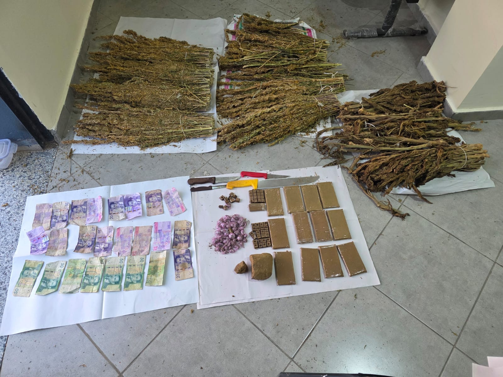 الدرك بالجديدة بوقف تاجر مخدرات مطلوبا للعدالة