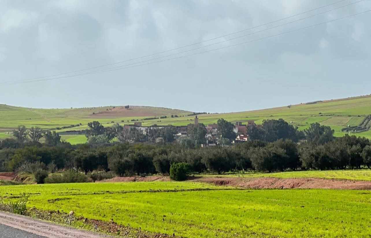 إقليم سيدي بنور.. تساقطات مطرية استثنائية تنعش الآمال بموسم فلاحي واعد